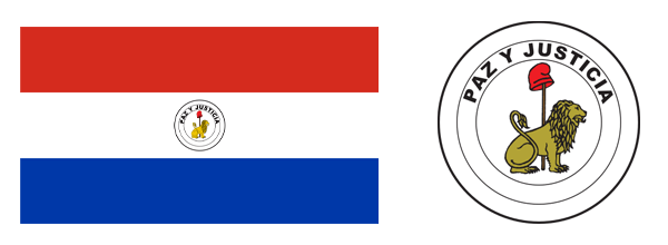 巴拉圭國旗 2